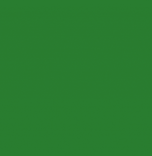 RAL 6024 Транспортный зеленый